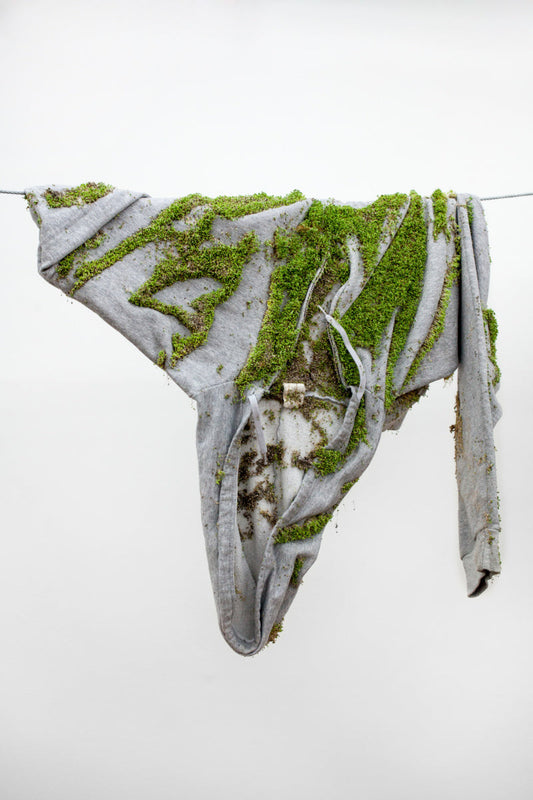 GREEN CARPET: MET GALA PAVES THE WAY FOR SUSTAINABLE GLAMOUR
