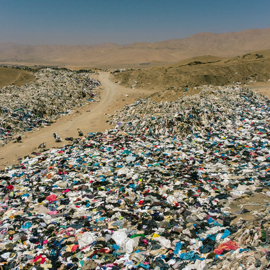 WHY SUSTAINABLE PRACTICES ARE IMPORTANT AND HOW TO IMPLEMENT THEM